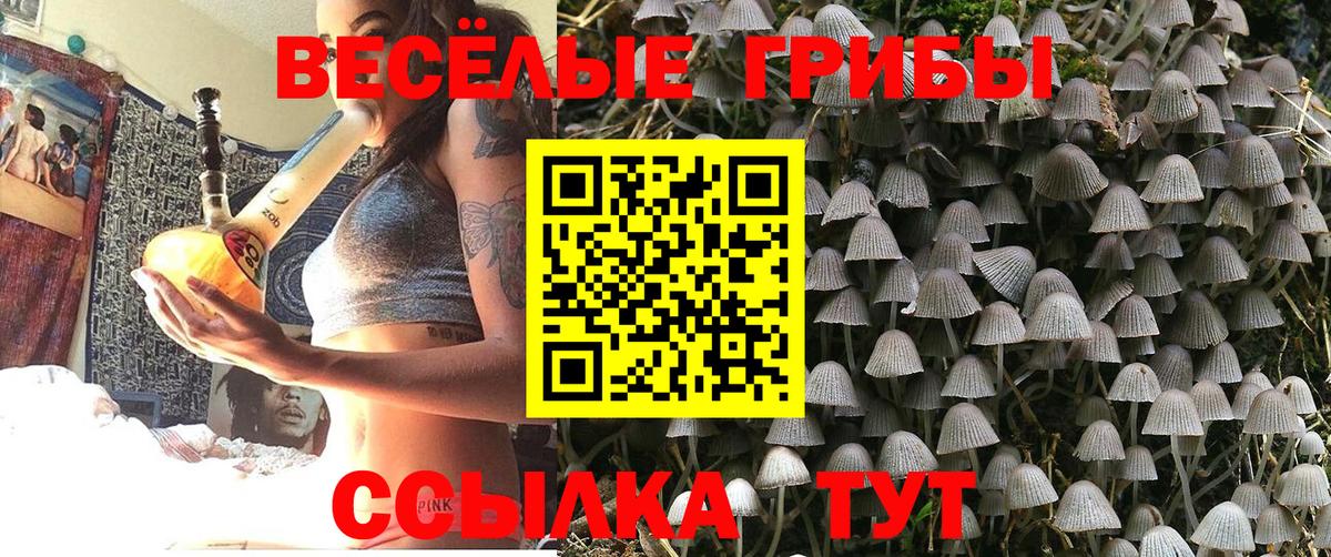 Псилоцибиновые грибы прущие грибы  Псилоцибиновые грибы Cubensis  Вход с VPN  Ярославль 