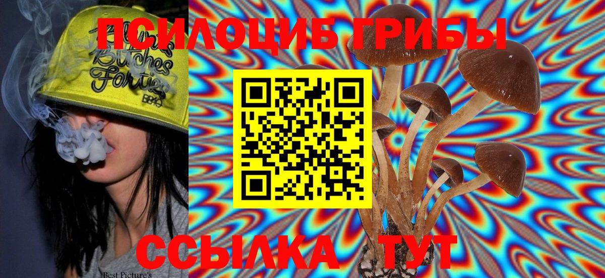 Галлюциногенные грибы Magic Shrooms Ярославль