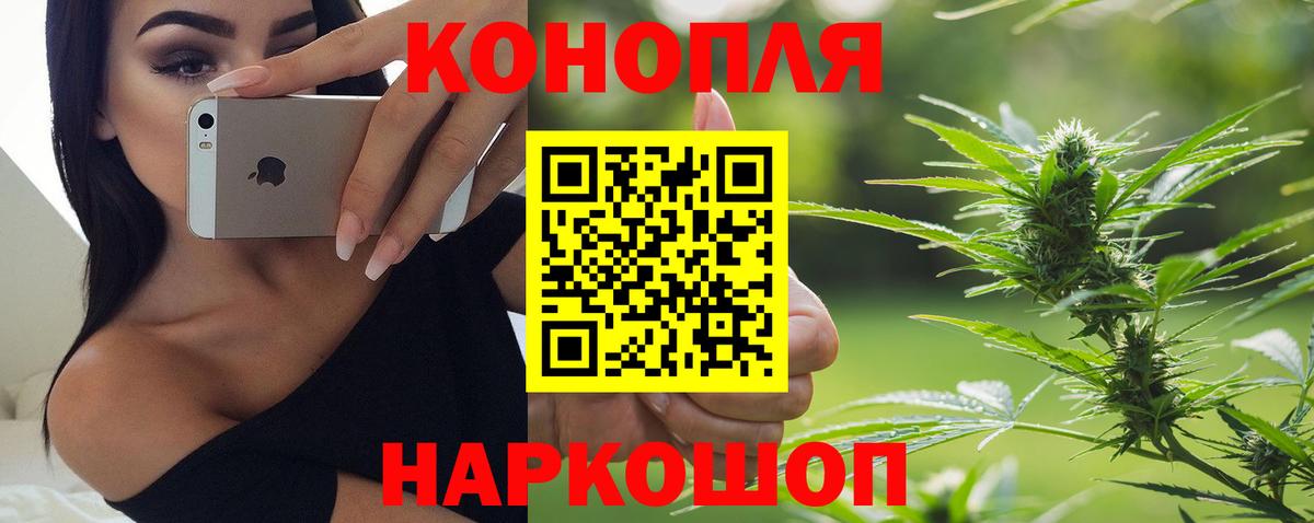 Бошки марихуана MAZAR Ярославль